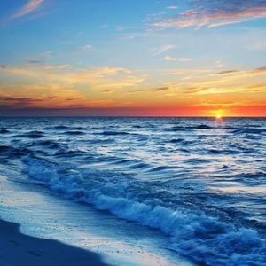 Meet your Posher, Zoe